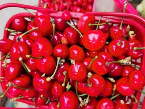 红色娱乐吃瓜视频怎么做